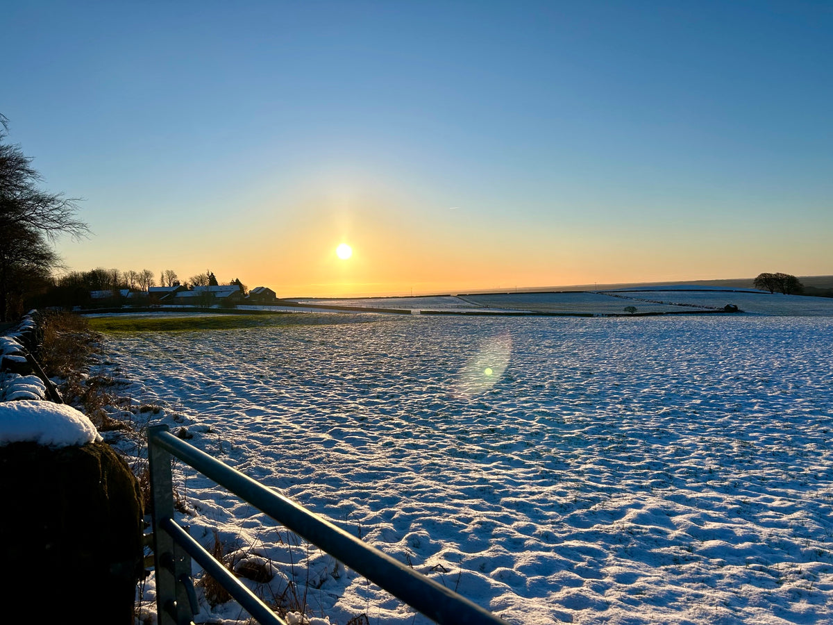Heart of Winter Retreat Day