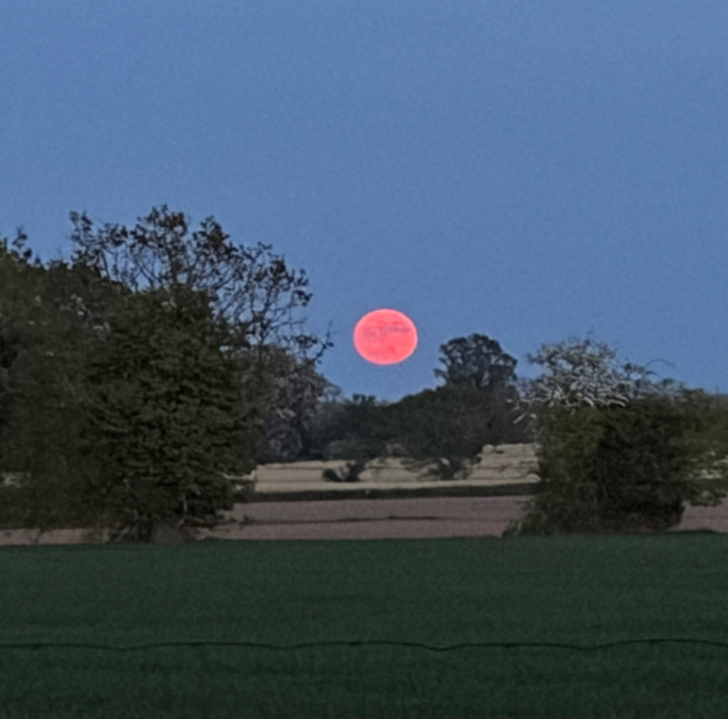 Release and Rest - Full Moon Retreat Day