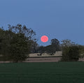 Release and Rest - Full Moon Retreat Day
