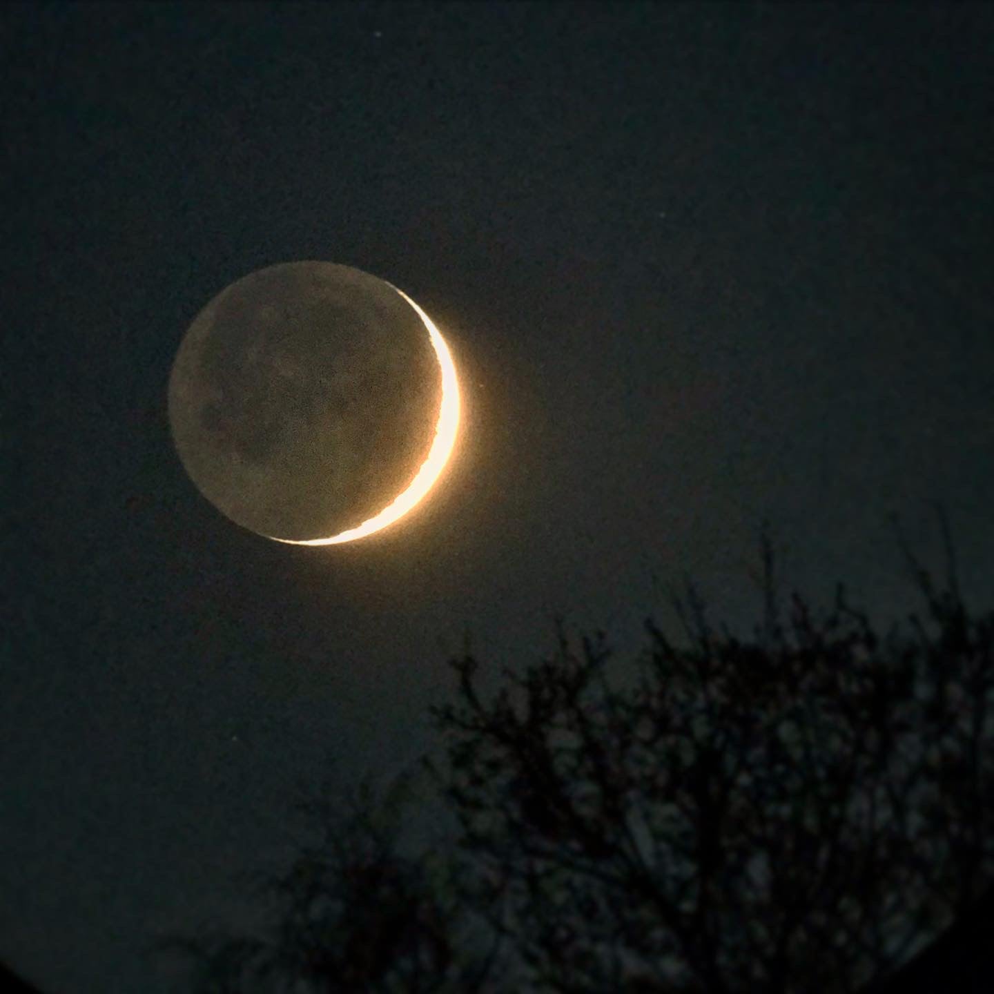 New Moon Sound Ceremony and Cacao