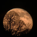 Full Moon Sound Ceremony