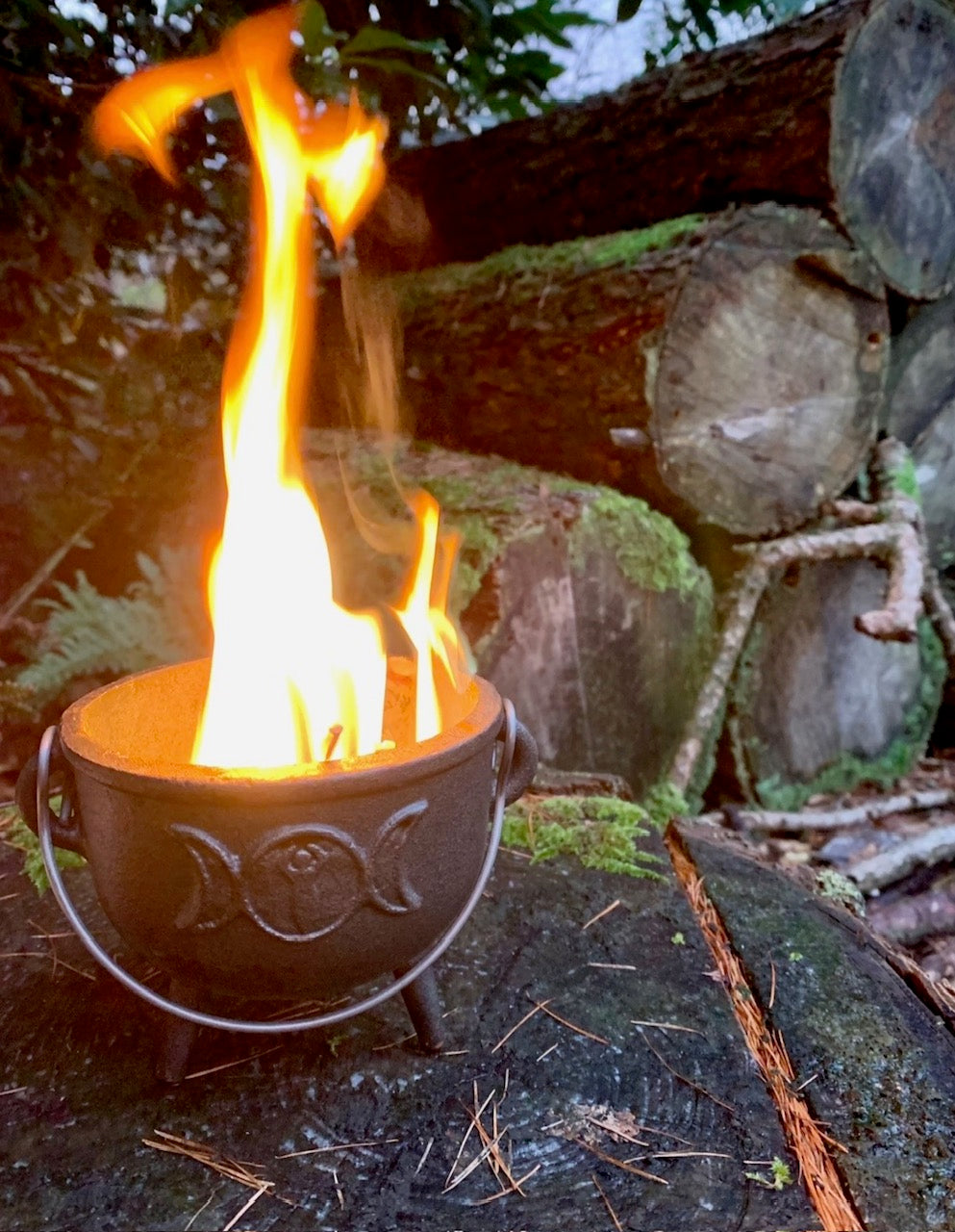 Into the Samhain Mists