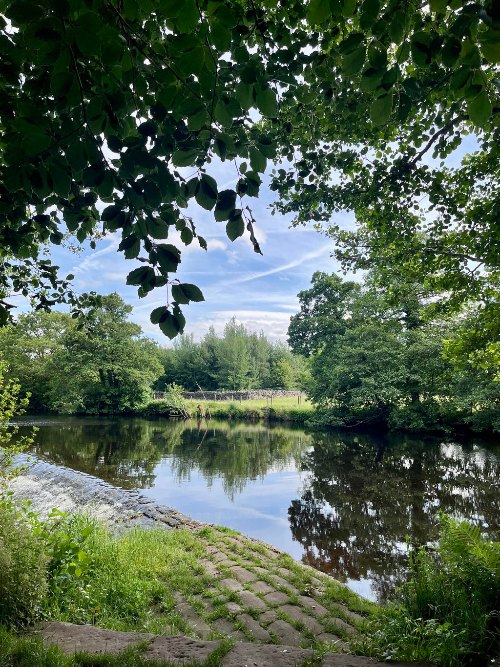 Wild swimming retreat day