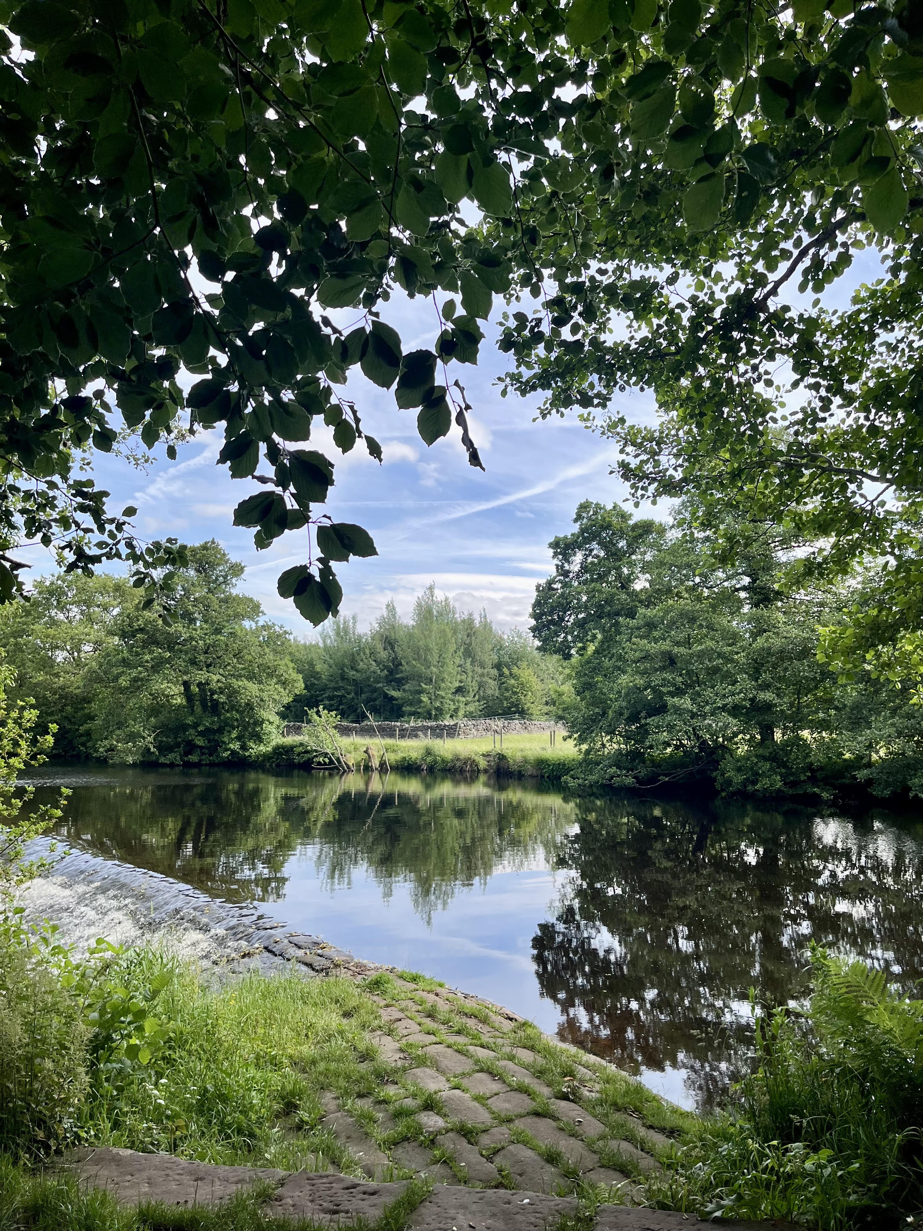 Wild swimming retreat day