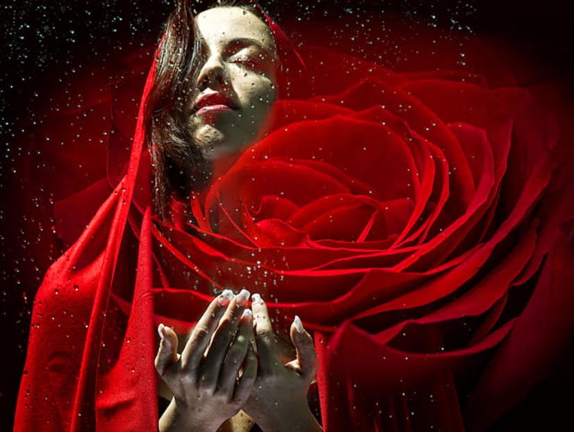 Rose Reclaiming